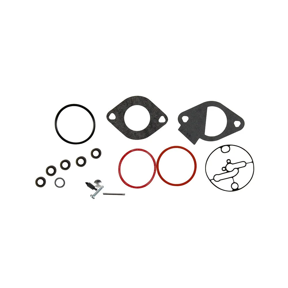 Carburetor overhaul kit components