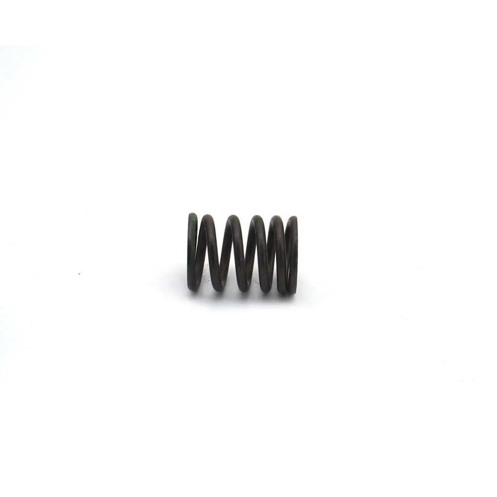 INTAKE VALVE SPRING – 503-00958